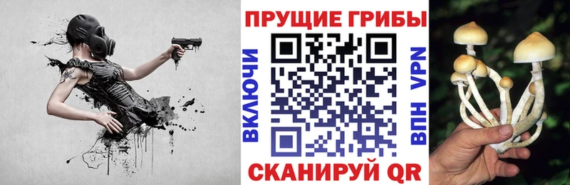 mega зеркало  Новое Девяткино  Галлюциногенные грибы Magic Shrooms 